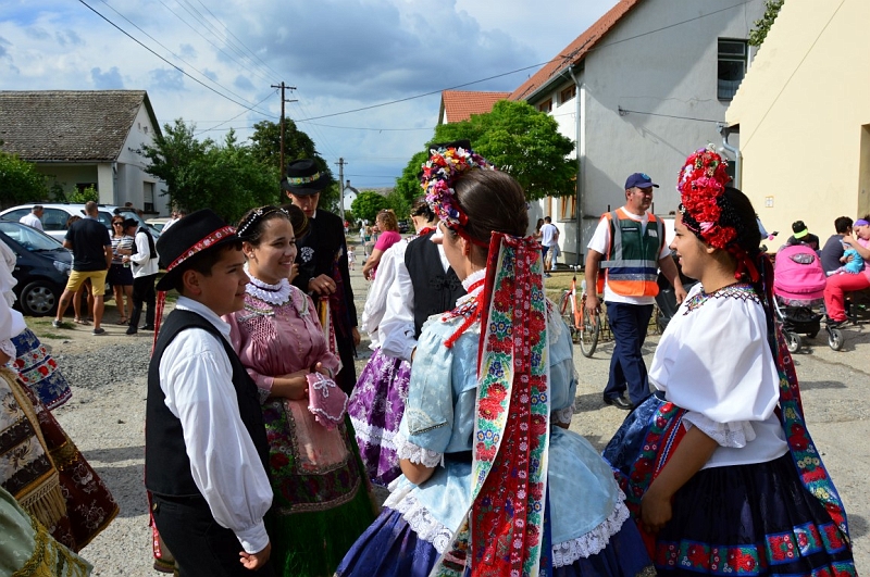 DSC_0440 (Medium).JPG